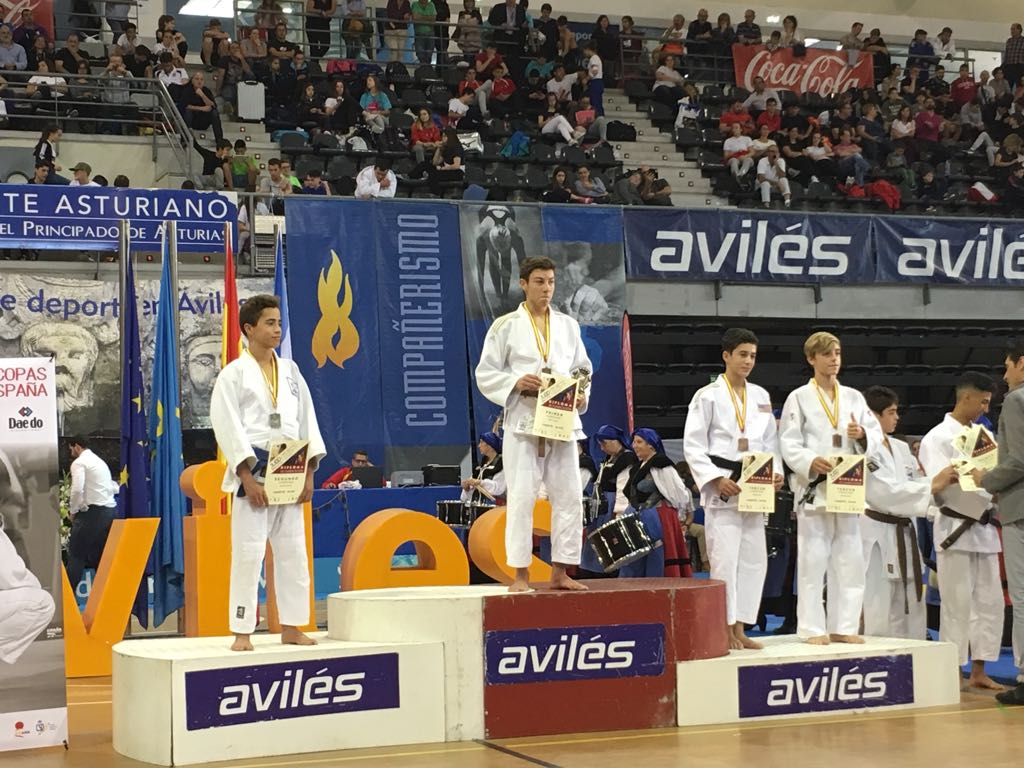 3 medallas para los Navarros en la Copa Espa&ntilde;a Judo Infantil y Cadete Aviles. 28 y 29 octubre 2017